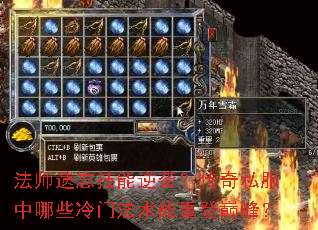 法师遗忘技能逆袭?传奇私服中哪些冷门法术能重登巅峰? 法师遗忘技能逆袭?传奇私服中哪些冷门法术能重登巅峰?