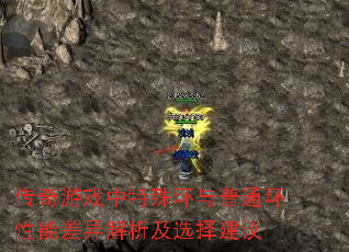 传奇游戏中特殊环与普通环性能差异解析及选择建议 传奇游戏中特殊环与普通环性能差异解析及选择建议
