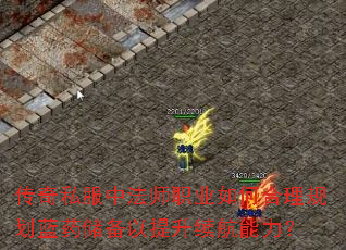 传奇私服中法师职业如何合理规划蓝药储备以提升续航能力? 传奇私服中法师职业如何合理规划蓝药储备以提升续航能力?