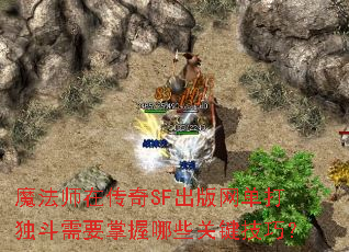 魔法师在传奇SF出版网单打独斗需要掌握哪些关键技巧? 魔法师在传奇SF出版网单打独斗需要掌握哪些关键技巧?