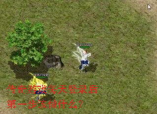 传奇游戏每天登录后第一步该做什么? 传奇游戏每天登录后第一步该做什么?