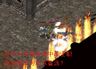 Ϊʲô˽սʿְҵܳΪѡ