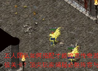 Ŷδܹ˴Ϸռؿҽرʤս