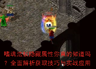 嗜魂法杖隐藏属性你真的知道吗?全面解析获取技巧与实战应用 嗜魂法杖隐藏属性你真的知道吗?全面解析获取技巧与实战应用