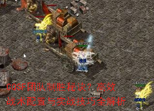 CQSFŶʤؾЧսʵսȫ