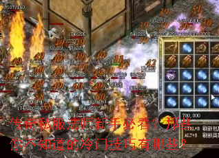 传奇私服法师新手必看?那些你不知道的冷门技巧有哪些? 传奇私服法师新手必看?那些你不知道的冷门技巧有哪些?