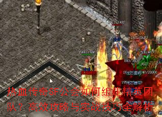 ѪSF齨ӢŶӣЧʵսȫ