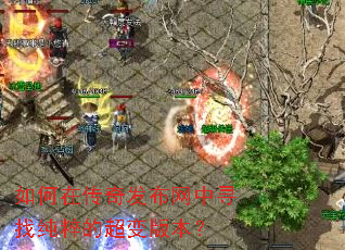 如何在传奇发布网中寻找纯粹的超变版本? 如何在传奇发布网中寻找纯粹的超变版本?