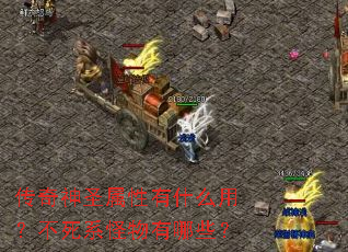 传奇神圣属性有什么用?不死系怪物有哪些? 传奇神圣属性有什么用?不死系怪物有哪些?
