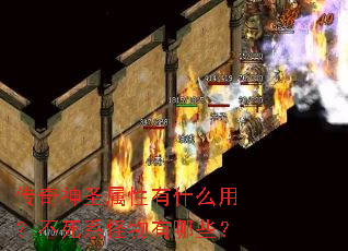 传奇神圣属性有什么用?不死系怪物有哪些? 传奇神圣属性有什么用?不死系怪物有哪些?
