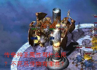 传奇神圣属性有什么用?不死系怪物有哪些? 传奇神圣属性有什么用?不死系怪物有哪些?