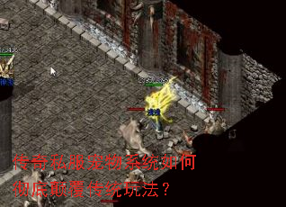 传奇私服宠物系统如何彻底颠覆传统玩法? 传奇私服宠物系统如何彻底颠覆传统玩法?