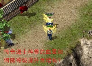 传奇道士神兽的血量如何随等级提升而增长? 传奇道士神兽的血量如何随等级提升而增长?