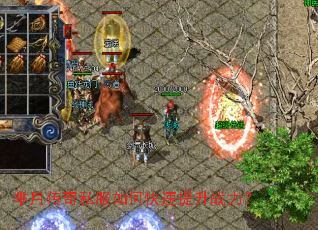 ���´���˽����ο�������ս����