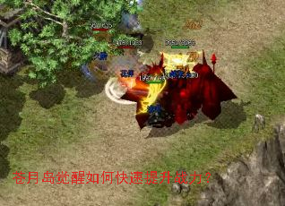 ���µ�������ο�������ս����