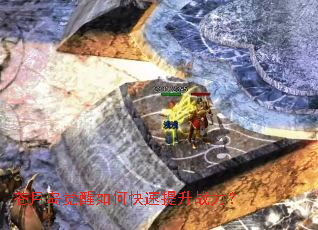 ���µ�������ο�������ս����