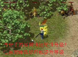 ����������ο��������������������������������ȼ�