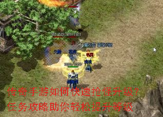 ����������ο��������������������������������ȼ�