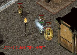 ѡ������ְҵ��β��ȣ�