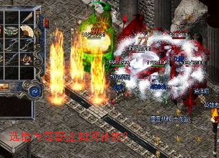 ѡ������ְҵ��β��ȣ�