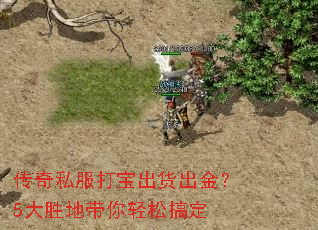 ����˽���򱦳�������5��ʤ�ش������ɸ㶨