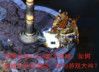 传奇私服sf666新手攻略:如何快速升级到满级,成为游戏大神? 传奇私服sf666新手攻略:如何快速升级到满级,成为游戏大神?