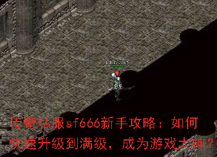 传奇私服sf666新手攻略:如何快速升级到满级,成为游戏大神? 传奇私服sf666新手攻略:如何快速升级到满级,成为游戏大神?