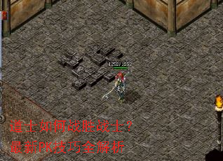 道士如何战胜战士?最新PK技巧全解析 道士如何战胜战士?最新PK技巧全解析