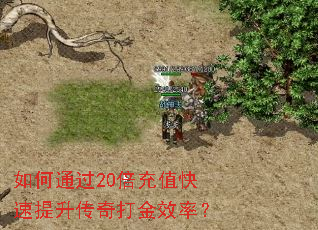 ���ͨ��20����ֵ��������������Ч�ʣ�