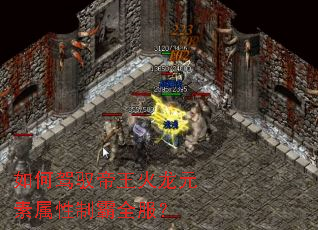 ��μ�Ԧ��������Ԫ�������ư�ȫ����