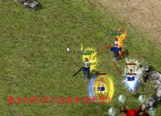 ��ʿ��γ�Ϊ��Ϸ�е���ʹ��