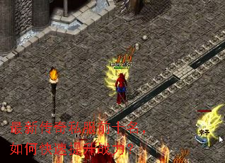 ���´���˽��ǰʮ������ο�������ս����