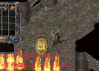 ��ο��������ȼ���ʮ����Ѫɳ�ǹ���ȫ����