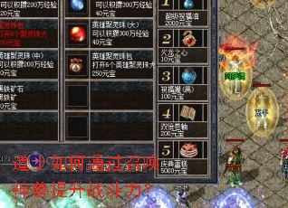 ��ʿ���ͨ���ٻ���������ս������