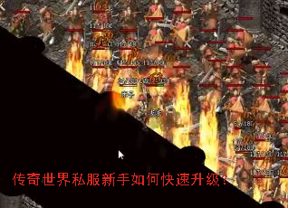 ��������˽��������ο���������