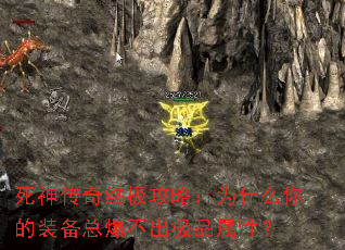 �������ռ����ԣ�Ϊʲô���װ���ܱ�������Ʒ���ԣ�