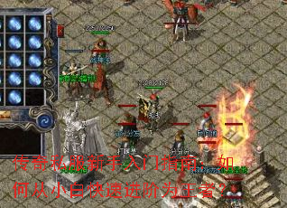 ����˽����������ָ�ϣ���δ�С�׿��ٽ���Ϊ���ߣ�