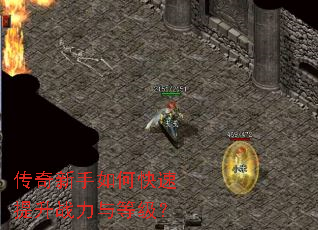 ����������ο�������ս����ȼ���