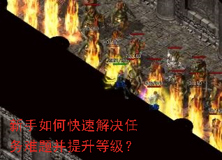 新手如何快速解决任务难题并提升等级? 新手如何快速解决任务难题并提升等级?