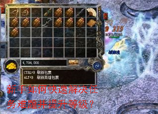 新手如何快速解决任务难题并提升等级? 新手如何快速解决任务难题并提升等级?