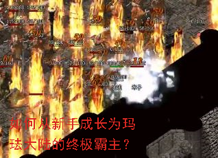 ��δ����ֳɳ�Ϊ�귩��½���ռ�������