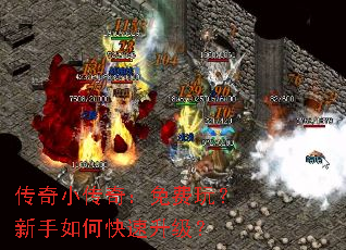 ����С���棺����棿������ο���������