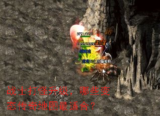 սʿ�����������Щ��̬�����ͼ���ʺϣ�