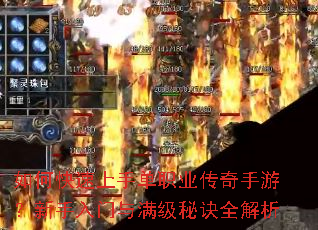 ��ο������ֵ�ְҵ�������Σ����������������ؾ�ȫ����