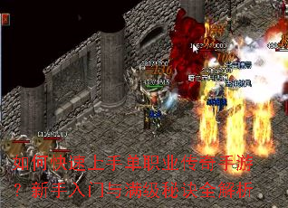 ��ο������ֵ�ְҵ�������Σ����������������ؾ�ȫ����