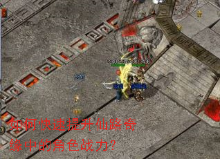 ��ο���������·��Ե�еĽ�ɫս����