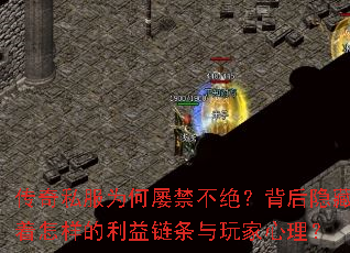 ����˽��Ϊ���Ž������������������������������������������