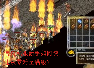 ����˽��������ο��ٴ�������������