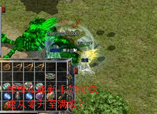 ����˽��������ο��ٴ�������������