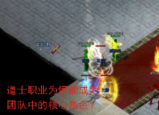 ��ʿְҵΪ���ܳ�Ϊ�Ŷ��еĺ��Ľ�ɫ��